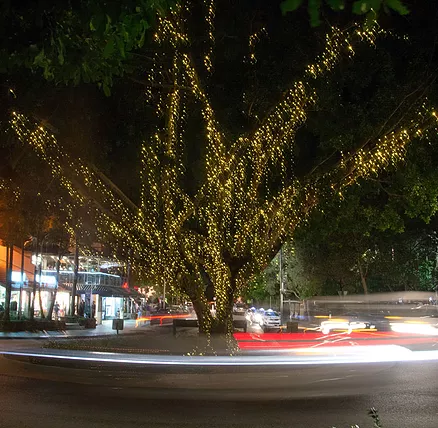 The Sunshine Coast Tour Company - Accommodation Southport 2