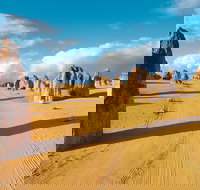 Pinnacles Desert Koalas and Sandboarding 4WD Day Tour from Perth - Accommodation Southport