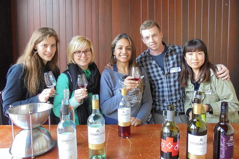 1/2 Day Swan Valley Wine Cheese & Chocolate Tour Inc Afternoon Cruise To Perth - Accommodation Southport 6