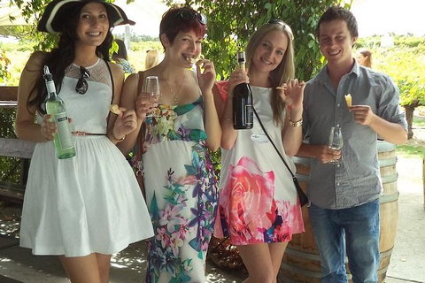 1/2 Day Swan Valley Wine Cheese & Chocolate Tour Inc Afternoon Cruise To Perth - Accommodation Southport 2