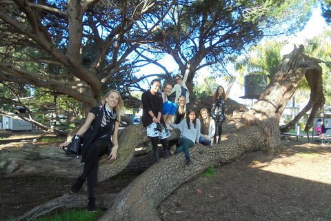 1/2 Day Swan Valley Wine Cheese & Chocolate Tour Inc Afternoon Cruise To Perth - Accommodation Southport 10