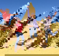 Pinnacles and Swan Valley Day Trip from Perth Including Caversham Wildlife Park Vineyard Lunch Pinnacles and Sandboarding - Accommodation Southport