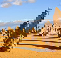 Pinnacles and Yanchep National Park Day Trip from Perth Including Lobster Shack Lunch and Sandboarding - Accommodation Southport