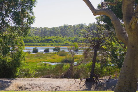 Pinnacles And Yanchep National Park Day Trip From Perth Including Lobster Shack Lunch And Sandboarding - Southport Accommodation 10
