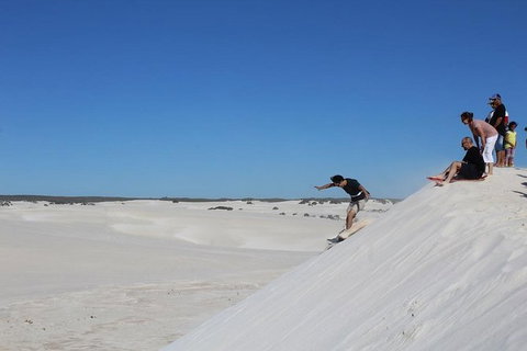 Pinnacles And Yanchep National Park Day Trip From Perth Including Lobster Shack Lunch And Sandboarding - Southport Accommodation 4