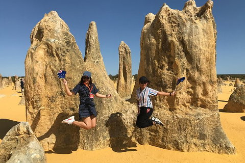 Pinnacles And Yanchep National Park Day Trip From Perth Including Lobster Shack Lunch And Sandboarding - Southport Accommodation 2