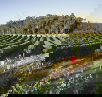 Margaret River Caves Wine and Cape Leeuwin Lighthouse Tour from Perth - Accommodation Southport