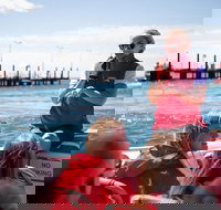 Rottnest Island Tour from Perth or Fremantle including Adventure Speed Boat Ride - Accommodation Southport