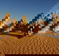 Pinnacles Day Trip from Perth Including Yanchep National Park - Accommodation Southport