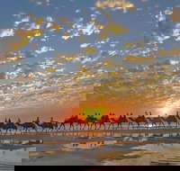 1 Hour Broome Sunset Camel Tour - Accommodation Southport