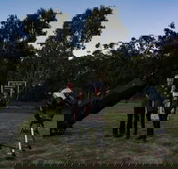 Stargazing Busselton with Mobile Observatory - Southport Accommodation