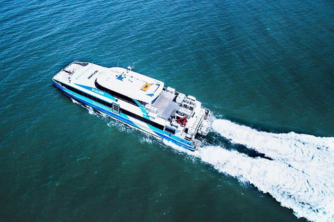 Rottnest Island Roundtrip Ferry From Perth With Transfer - Accommodation Southport 1