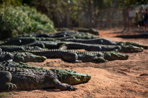 3 In 1 Tour: Matsoâ€™s Brewery, 12 Mile Bird Park & Malcolm Douglas Crocodile Park - Accommodation Southport 6