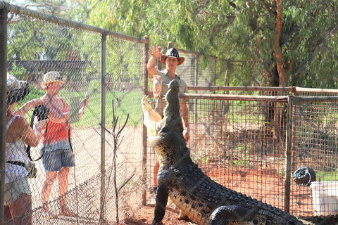 3 In 1 Tour: Matsoâ€™s Brewery, 12 Mile Bird Park & Malcolm Douglas Crocodile Park - Accommodation Southport 15