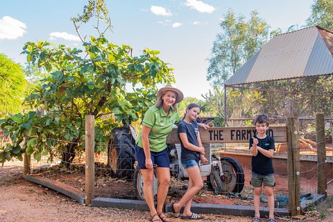 3 In 1 Tour: Matsoâ€™s Brewery, 12 Mile Bird Park & Malcolm Douglas Crocodile Park - Accommodation Southport 10