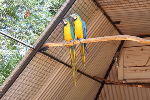 3 In 1 Tour: Matsoâ€™s Brewery, 12 Mile Bird Park & Malcolm Douglas Crocodile Park - Accommodation Southport 11