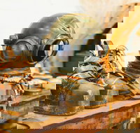 1.5-Hour Historical Pearl Luggers Tour in Broome - Accommodation Southport