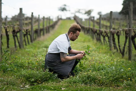 Vasse Felix Epicurean Tour And Tasting Experience With 5 Course Lunch - Southport Accommodation 9