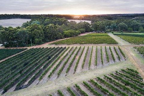 Vasse Felix Epicurean Tour And Tasting Experience With 5 Course Lunch - Southport Accommodation 7