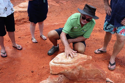 Broome Panoramic Town Tour - All The Extraordinary Sights And History Of Broome - Accommodation Southport 10
