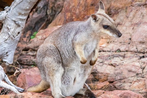 Lake Argyle Sunset Magic Cruise Departing Kununurra - Accommodation Southport 3