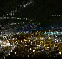 National Anzac Centre Field of Light Panorama Pass - Southport Accommodation