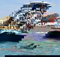 Mandurah Dolphin and Scenic Marine Cruise - Accommodation Southport