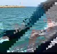 Mandurah Dolphin Island Adventure - Accommodation Southport