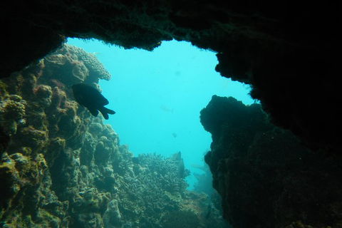 Half-Day Abrolhos Islands Shipwreck Air And Land Tour From Geraldton - Southport Accommodation 0