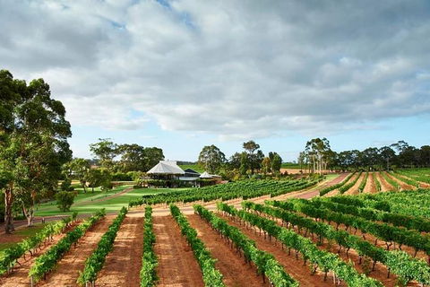 Vasse Felix Winery Tour And Tasting - Southport Accommodation 0