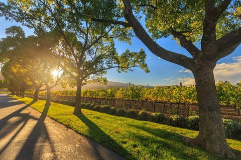 VIP Swan Valley Wine Tour - Premium Small Group Wine & Gourmet Experience - Southport Accommodation 1