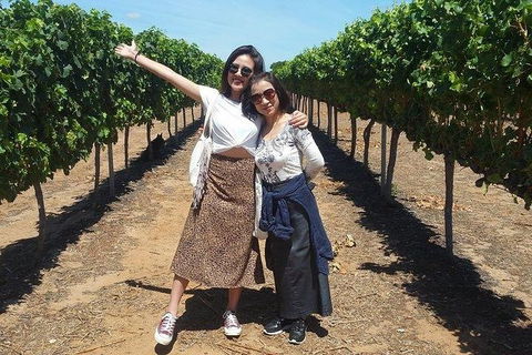 VIP Swan Valley Wine Tour - Premium Small Group Wine & Gourmet Experience - Southport Accommodation 3