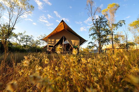 APT Kimberley Wilderness Adventures Purnululu (Bungle Bungle) 4WD Experience - Southport Accommodation 10