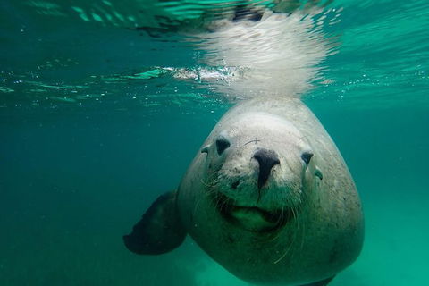 SAILING CHARTER TO CARNAC ISLAND - Southport Accommodation 1