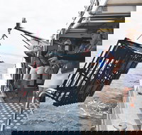 Rottnest Island Wild Seafood Package from Perth with Transfer - Accommodation Southport