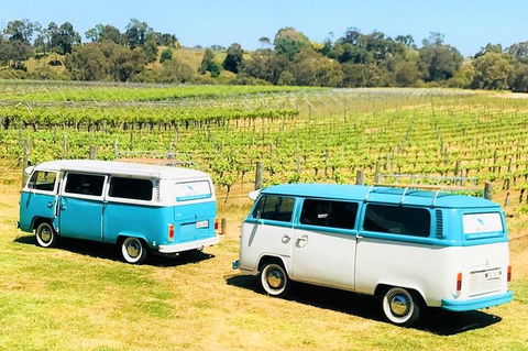 VW Kombi Wine Tour In The Swan Valley - Southport Accommodation 6