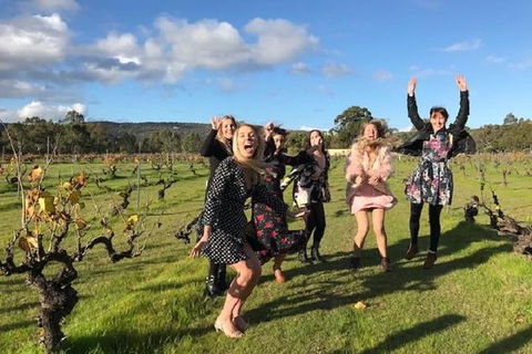 VW Kombi Food, Wine And More Tour (bring The Kids!) - Southport Accommodation 3