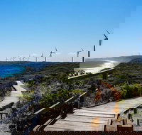 Torndirrup National Park and Bay Highlights - Southport Accommodation