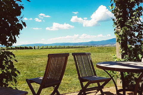 Alternative Yarra Valley Wine Tasting Tour Departing From Melbourne - Southport Accommodation 11