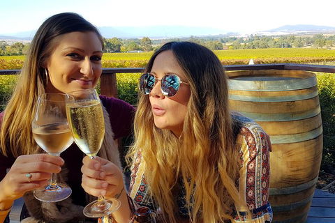 Alternative Yarra Valley Wine Tasting Tour Departing From Melbourne - Southport Accommodation 5