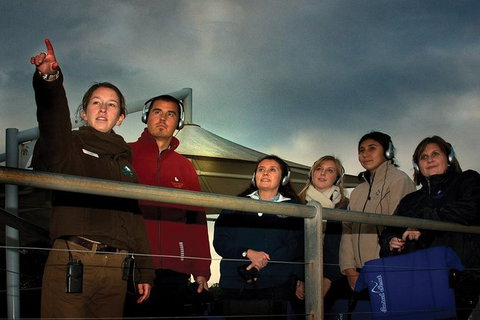 Phillip Island Penguin Parade Express Tour From Melbourne - Southport Accommodation 4