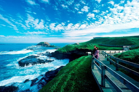 Phillip Island Penguin Parade Express Tour From Melbourne - Southport Accommodation 8