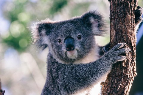 Private Melbourne Sightseeing Tour - Southport Accommodation 1