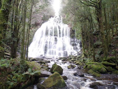 5-Day Best Of Tasmania Tour From Hobart - Southport Accommodation 2