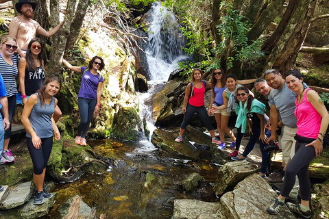 5-Day Best Of Tasmania Tour From Hobart - Southport Accommodation 9