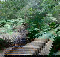 Small-group DayTour from Hobart Hastings Caves Huon Valley and Tahune AirWalk - Southport Accommodation