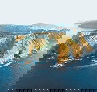 3-Hour Tasman Peninsula Wilderness Cruise from Port Arthur - Accommodation Southport