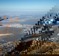 Mt Field National Park Active Day-Trip Including Bonorong and Mt Wellington - Southport Accommodation