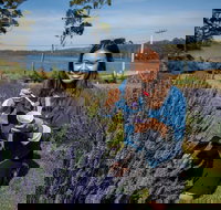 Port Arthur and Lavender Farm Active Day Tour - Southport Accommodation