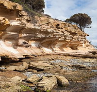 Maria Island premium private photo-oriented day tour from Hobart